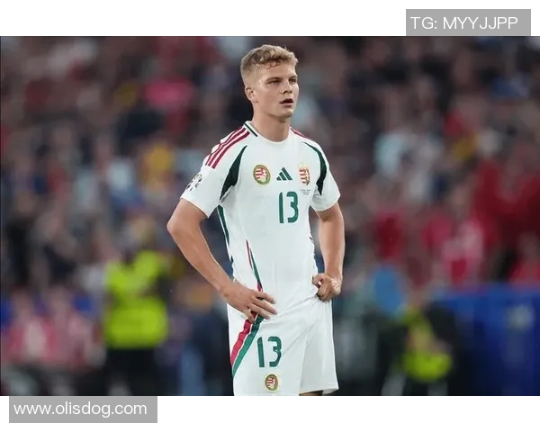 匈牙利足球球星风采全景解析及历史贡献详解