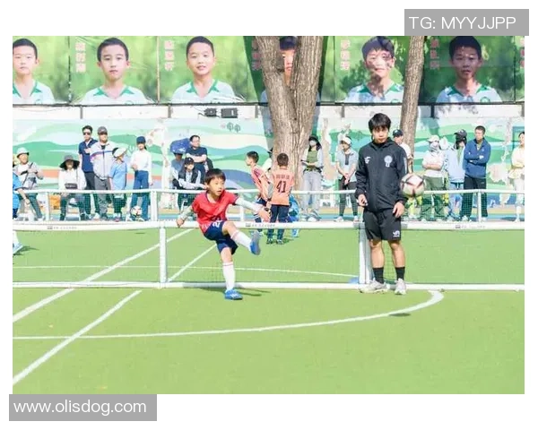 热爱阅读的足球球星们：从书本中汲取智慧与灵感的绿茵英雄