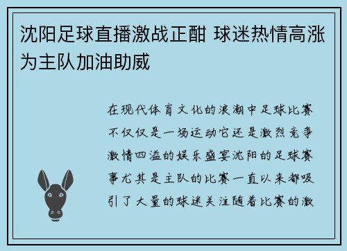 沈阳足球直播激战正酣 球迷热情高涨为主队加油助威